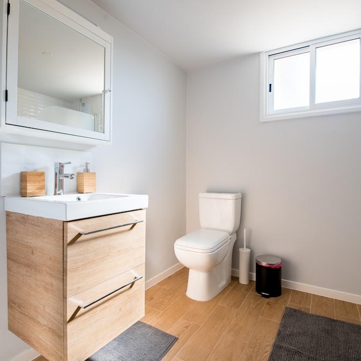 Luxury bathroom renovation